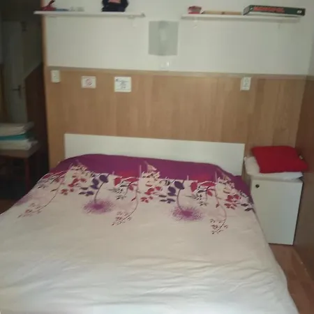 Apartman Vedran *